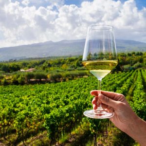 Etna - Wine